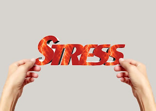 Activates Your Autonomic Nervous System, Stress is A Hardwired Physical Response Activates Your Autonomic Nervous System, Stress is A Hardwired Physical Response