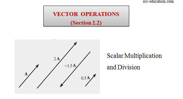 vector ,2D,3D,force vectors,vector operations, addition of force,scalars and vectors,