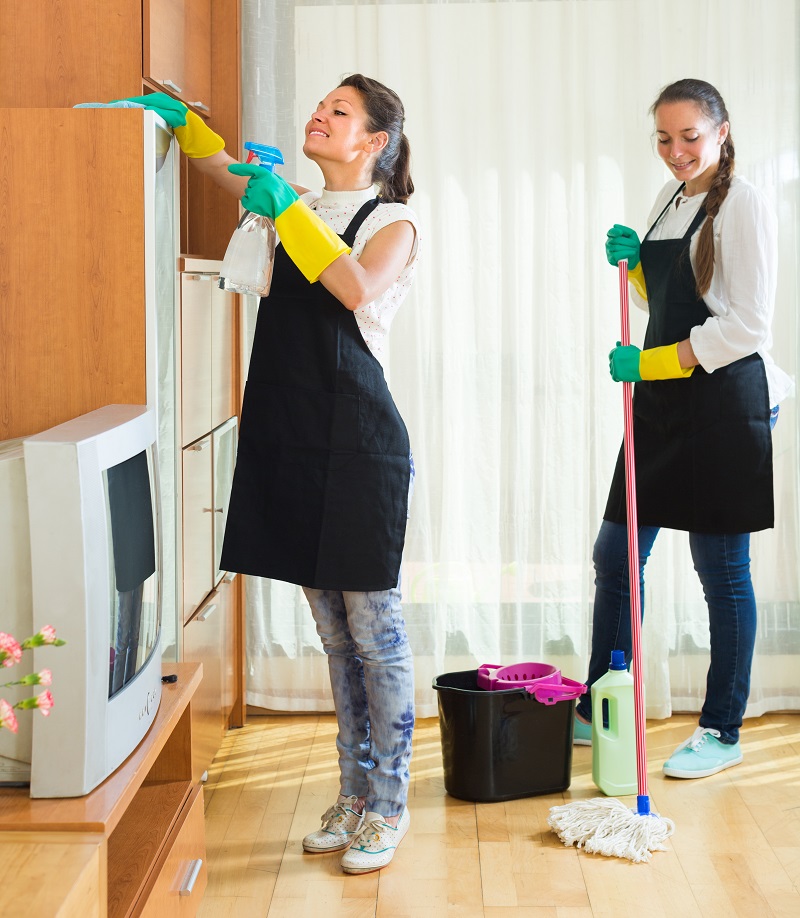 Dusting Tips, Minimal Care, And Deep Cleansing the Home Intriguing