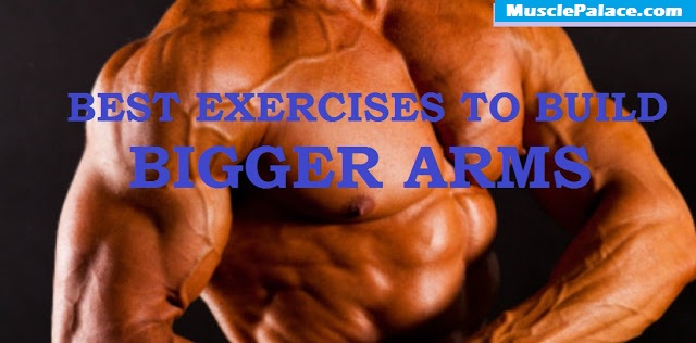 Muscle Palace: Best Exercises to Build Bigger Arms