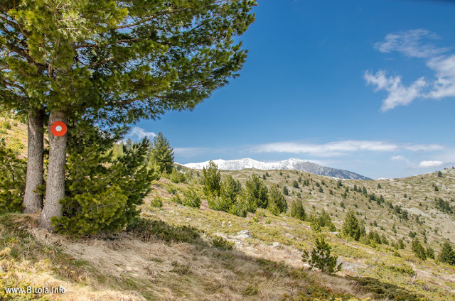 Pelister Panorama - Neolica Hiking Trail, Bitola, Macedonia