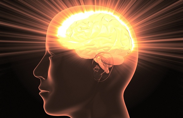 [Image: How-to-increase-brain-success.jpg]