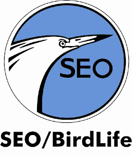 SEO birdlife