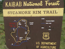 130810 - Sycamore Canyon Rim Trail