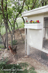 coop chicken planter makeover flowers colorful planters boxes country aren painted had added them wood hand these