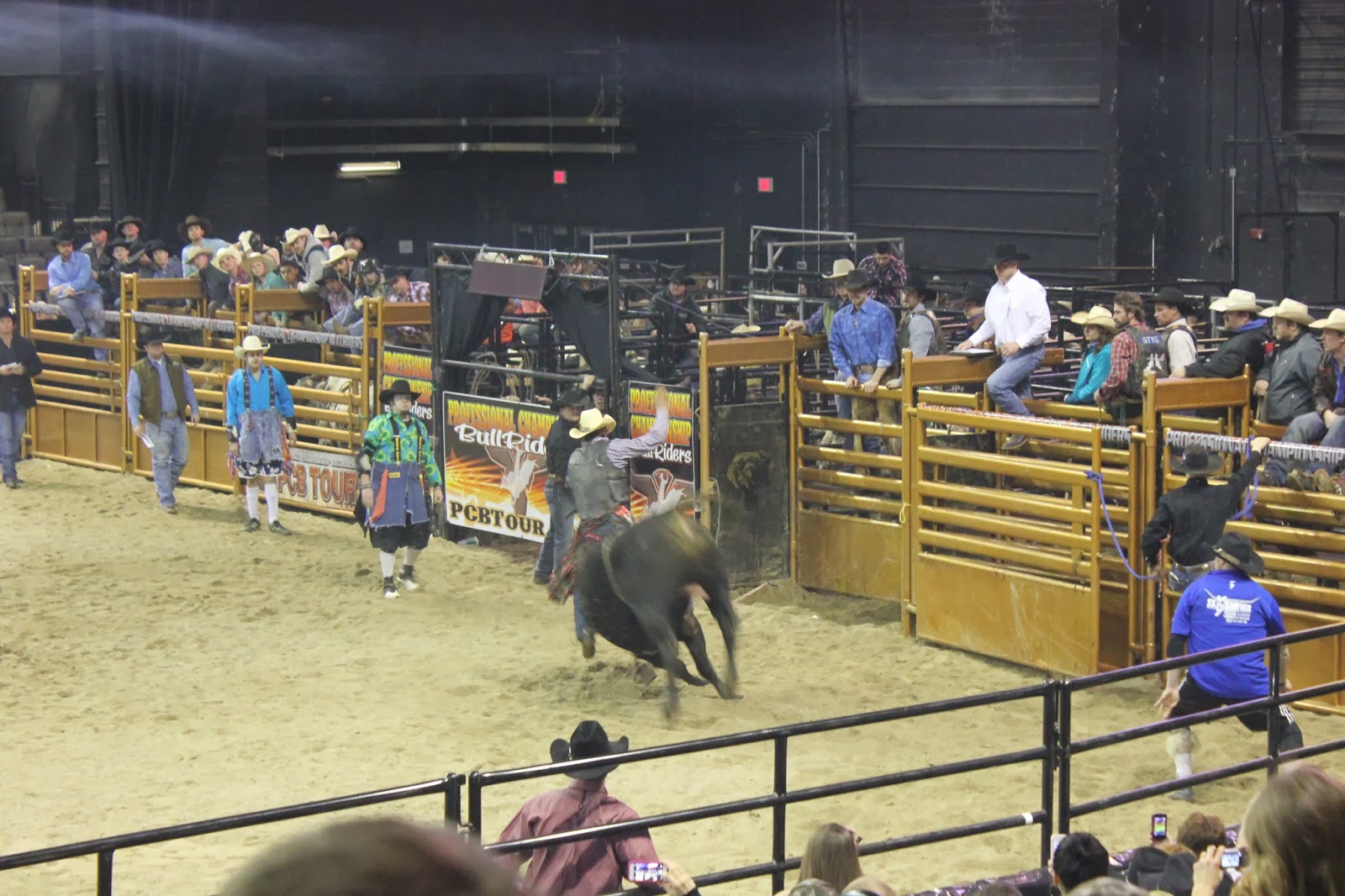 The Henry Gang: RODEO TIME!