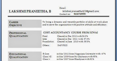cpa resume sample