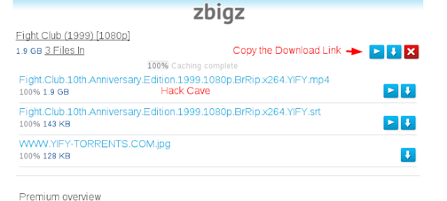 Zbigz Free Premium Account File Deletion Solution