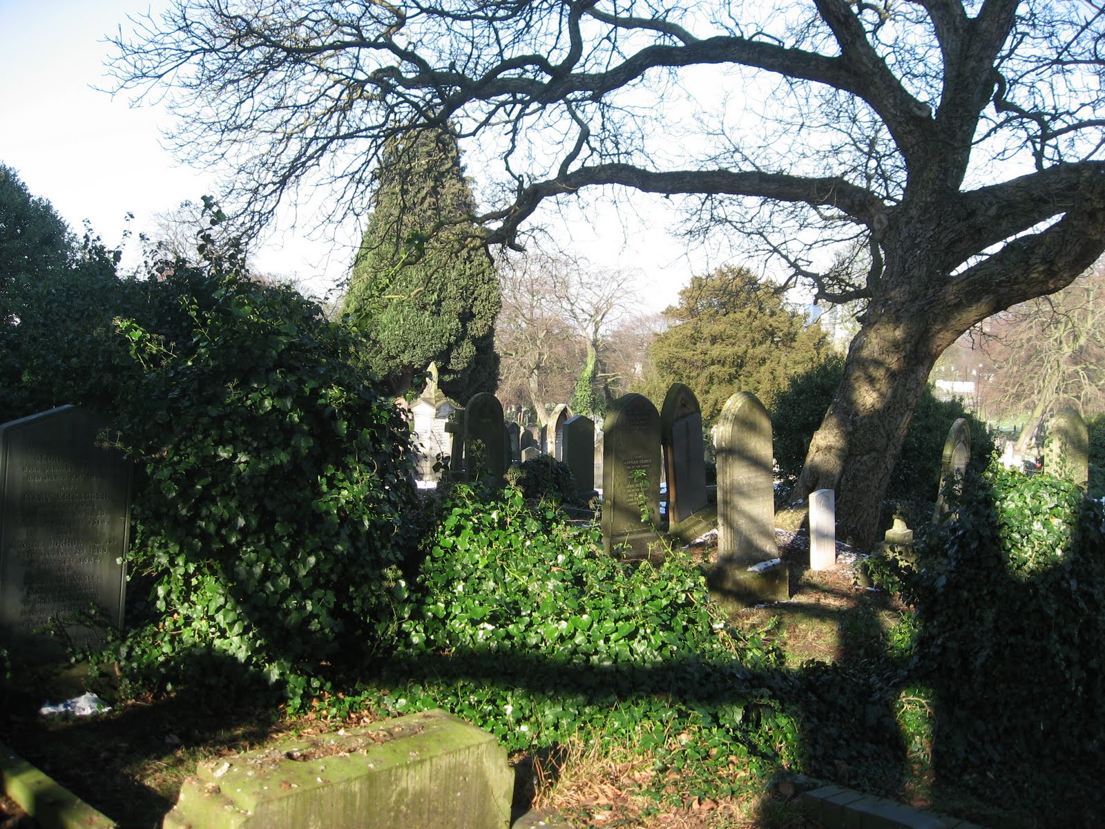 Desperate Reader Welford Road Cemetery