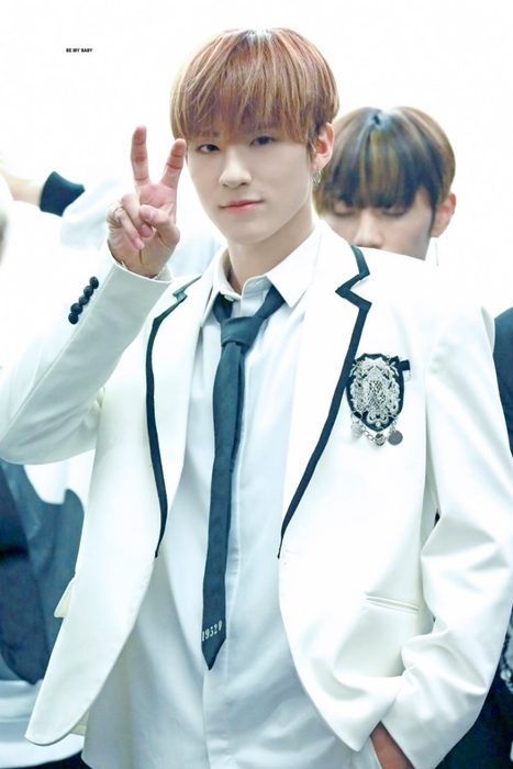 팬들이 반응는게 느껴진다는 덥즈 노에어 | 인스티즈