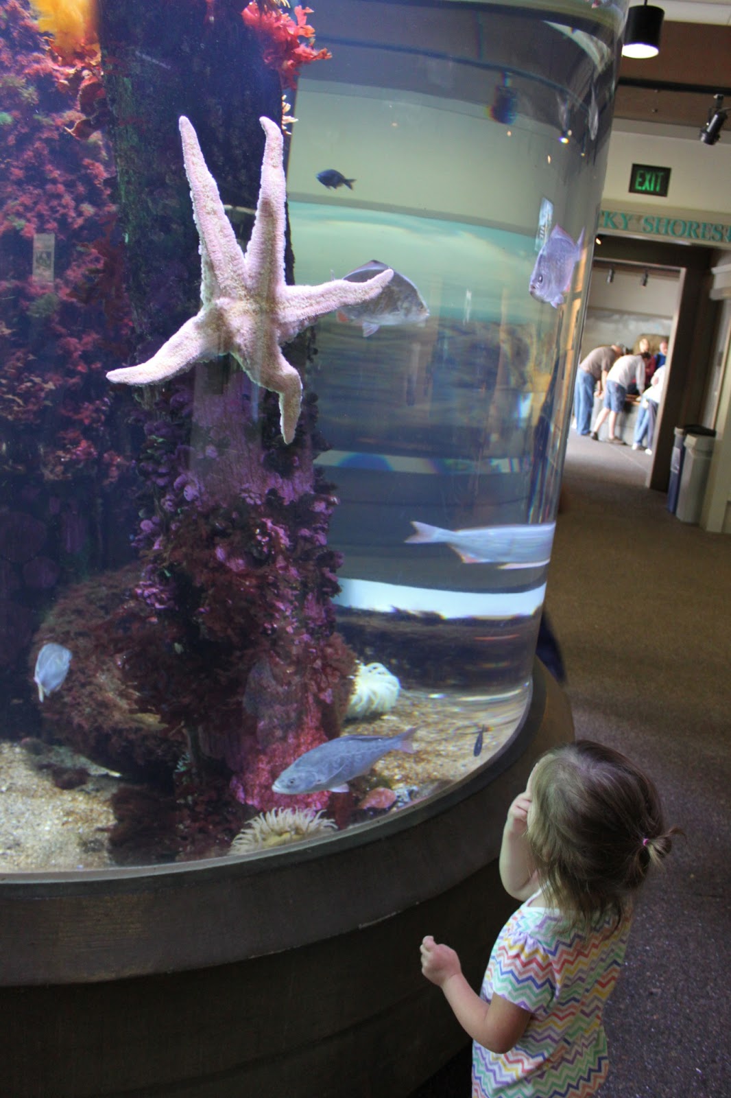 The Blakeys: Oregon Coast Aquarium - June+14+157