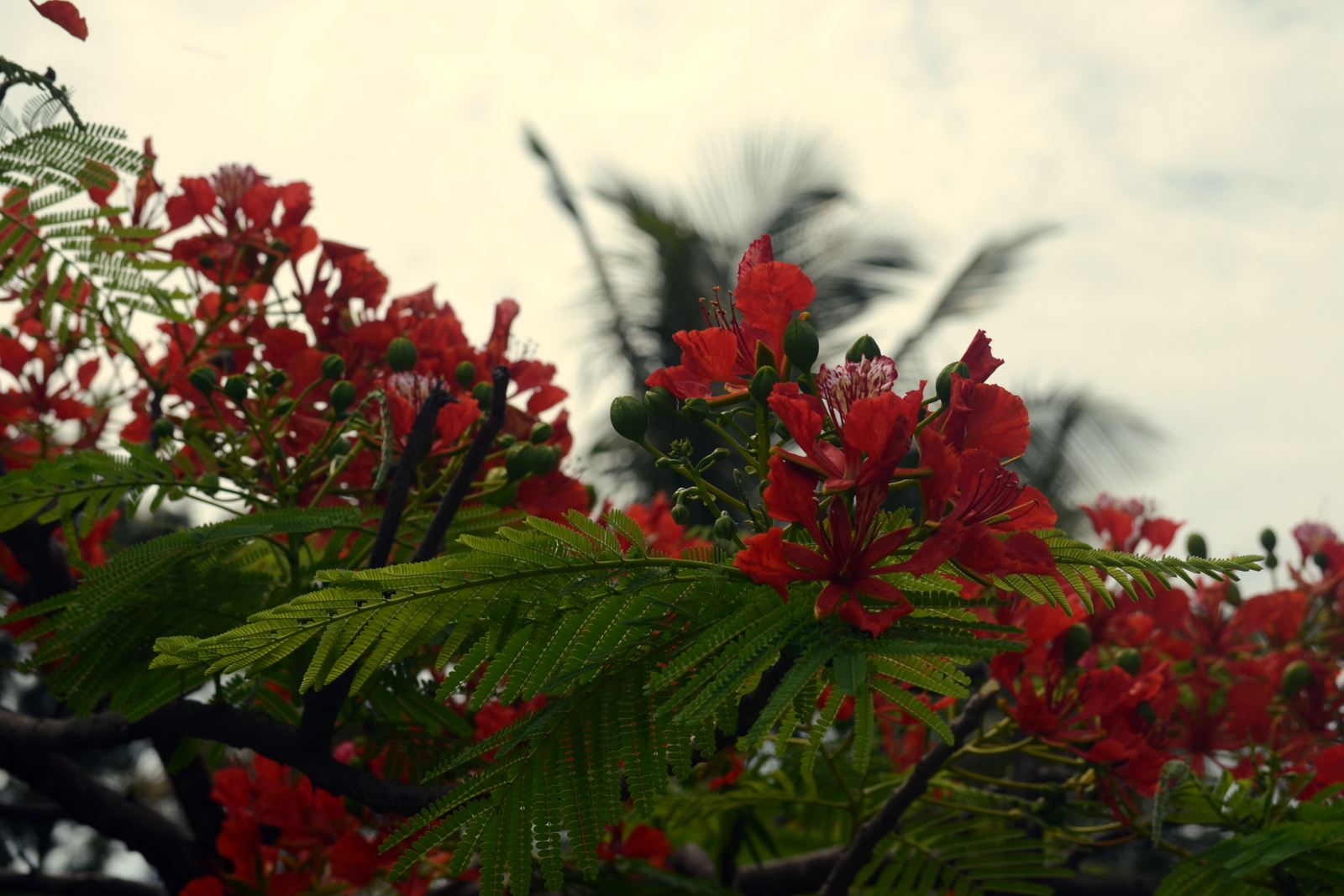 Happiness only real when shared Ocak 2016