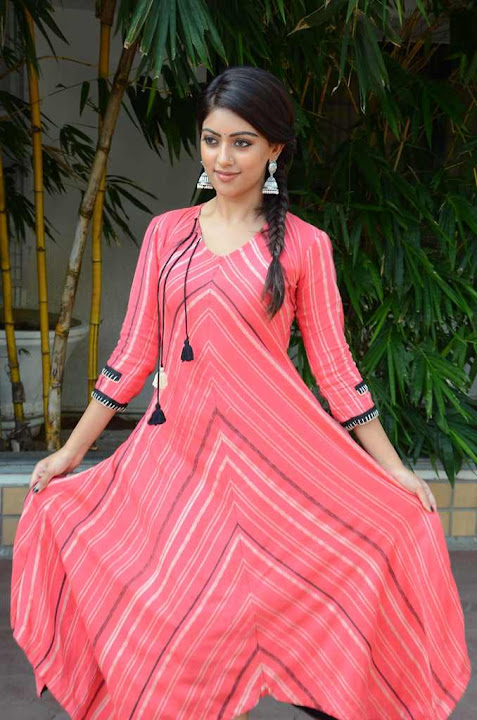 Anu Emmanuel at Majnu Success Celebration