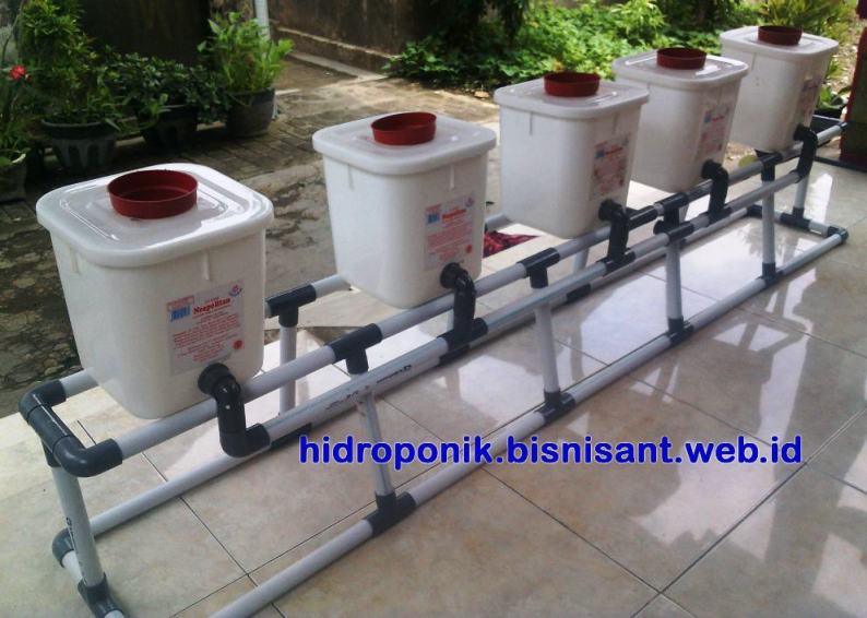 Iklan Terbaru 2011 Jual Paket Dutch Bucket hidroponik untuk tanaman buah. Kirim dari Mojokerto