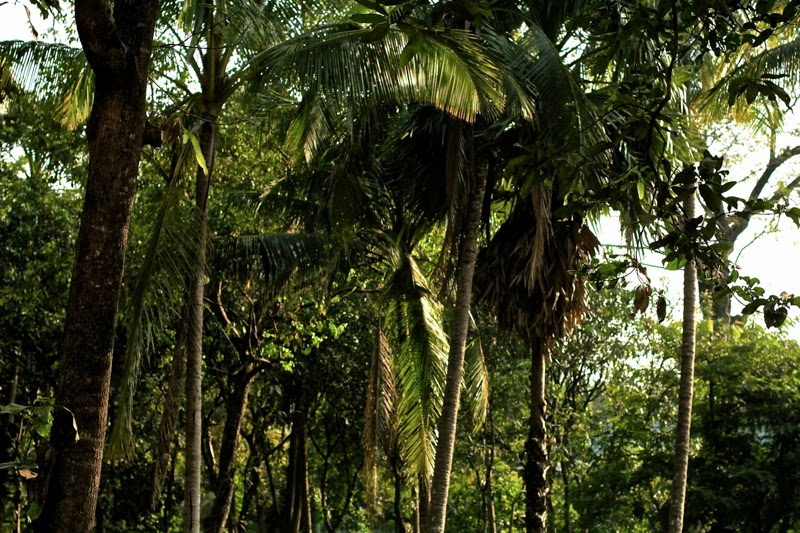 BLOG MODE HOMME PREPPY CONSEIL STYLE PARIS ELEGANCE TENDANCE BLOG MODE HOMME PREPPY CONSEIL STYLE PARIS ELEGANCE TENDANCE