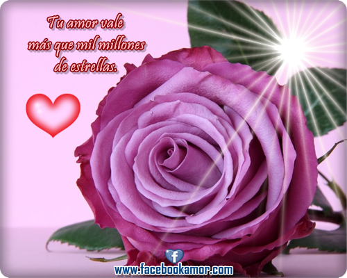 Imagenes bellas de amor para compartir - imágenes de amor bonitas
