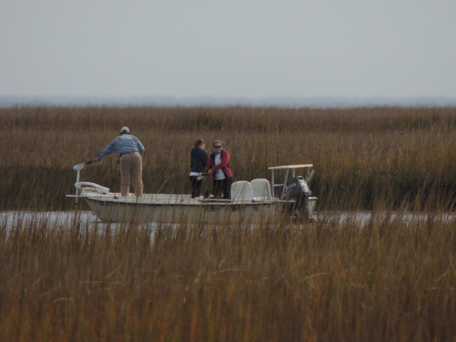 1000 Hikes in 1000 Days Day 747 Awendaw Passage of the Palmetto Trail