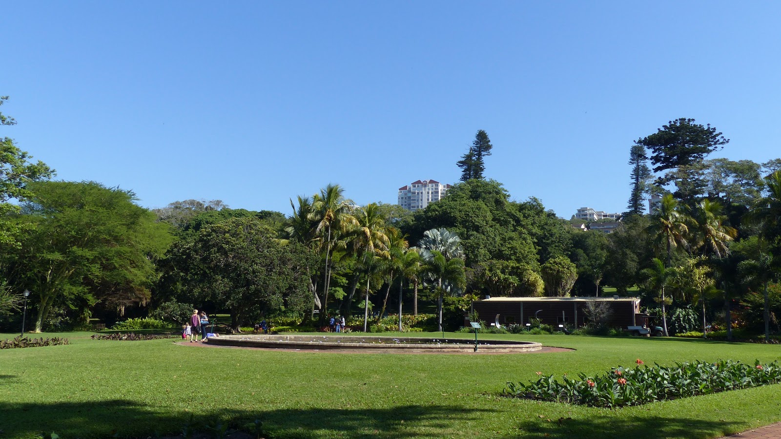 Vivamundo Reisen Reiseblog Durban Inside Unsere 10 Besten Tipps für