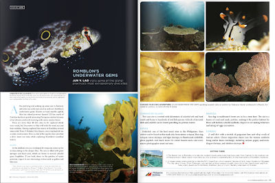Jun V Lao, Photography, Wildlife, Travel, Scuba Diving, Underwater Photography