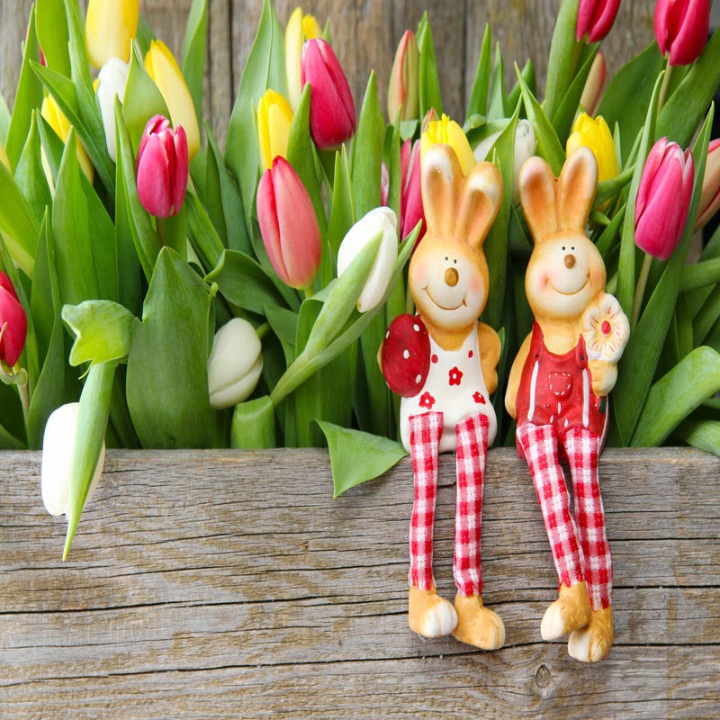 Flower Delivery San Antonio