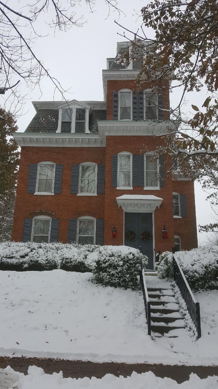 Tangled Roots and Trees Riggin/Pesold House, Lebanon, Illinois