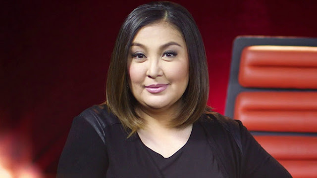 Powerful and Wealthy - 25 Richest Female Celebrities in the Philippines Powerful and Wealthy - 25 Richest Female Celebrities in the Philippines