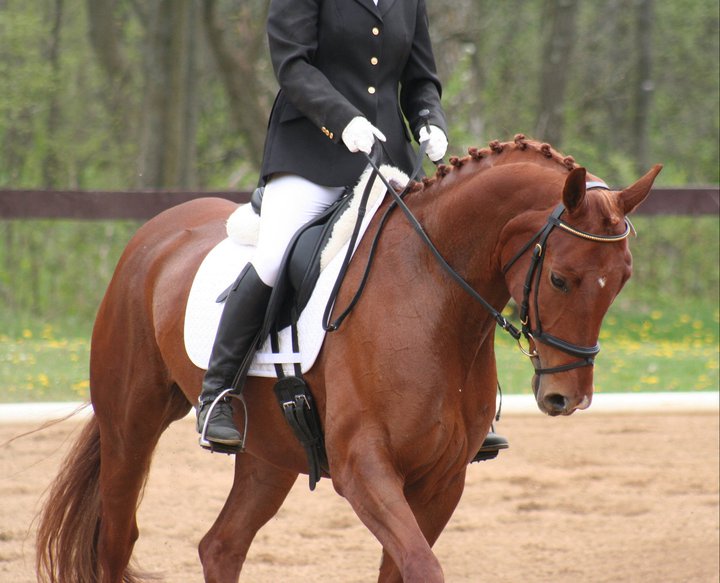 Liz Lund Eventing & Dressage Horse Show, Horse Show, OTTER CREEK!