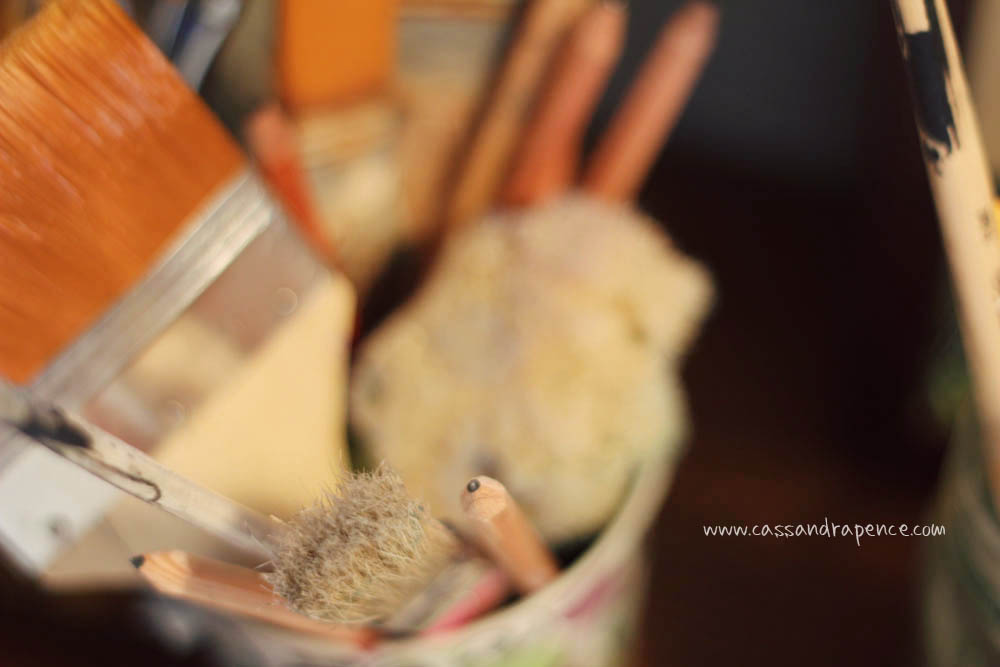 sassafras art supplies photography