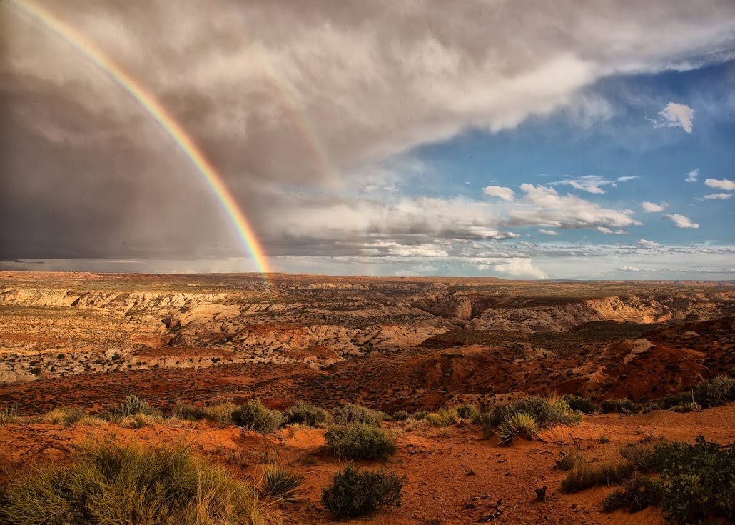 Morning in Arizona