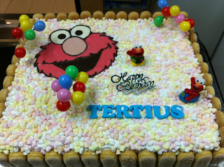Tertius Elmo Birthday cake