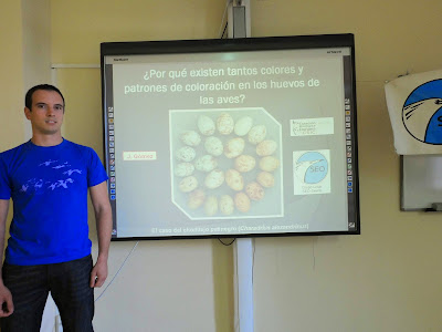 Conferencia ¿ Por qué existe tanta diversidad de colores y patrones de coloración en los huevos de las aves ?. Por Jesús Gómez. Martes Ornitológicos que el Grupo Local SEO-Sevilla organiza en el museo Casa de la Ciencia de Sevilla.