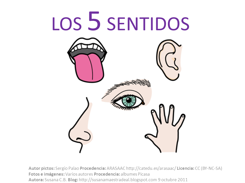 SUSANA Maestra de A.L.: LOS 5 sentidos