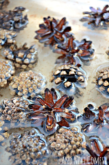 Close up of pinecone activity for toddlers and preschoolers