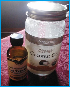 bottles of coconut oil and tea tree oil