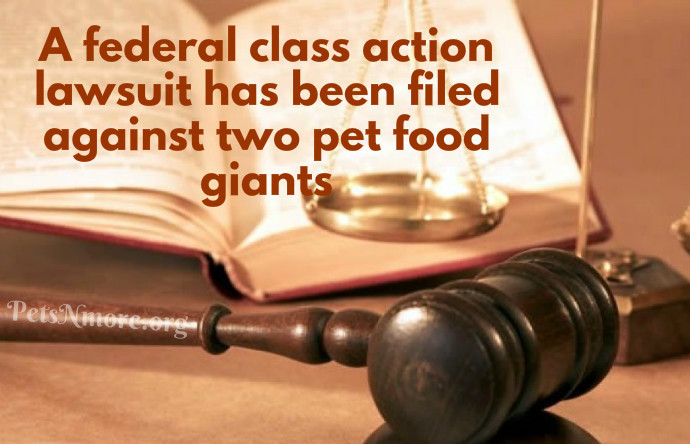 class action lawsuits class action lawsuits