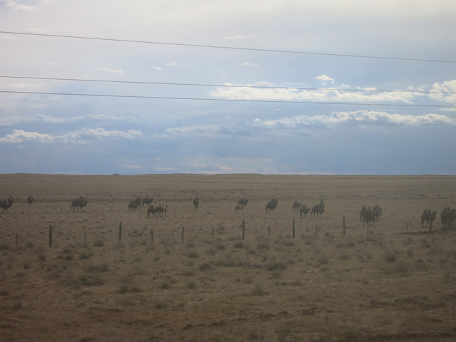Los Gehts Transmongolische Eisenbahn Von Ulan Bator Nach Peking