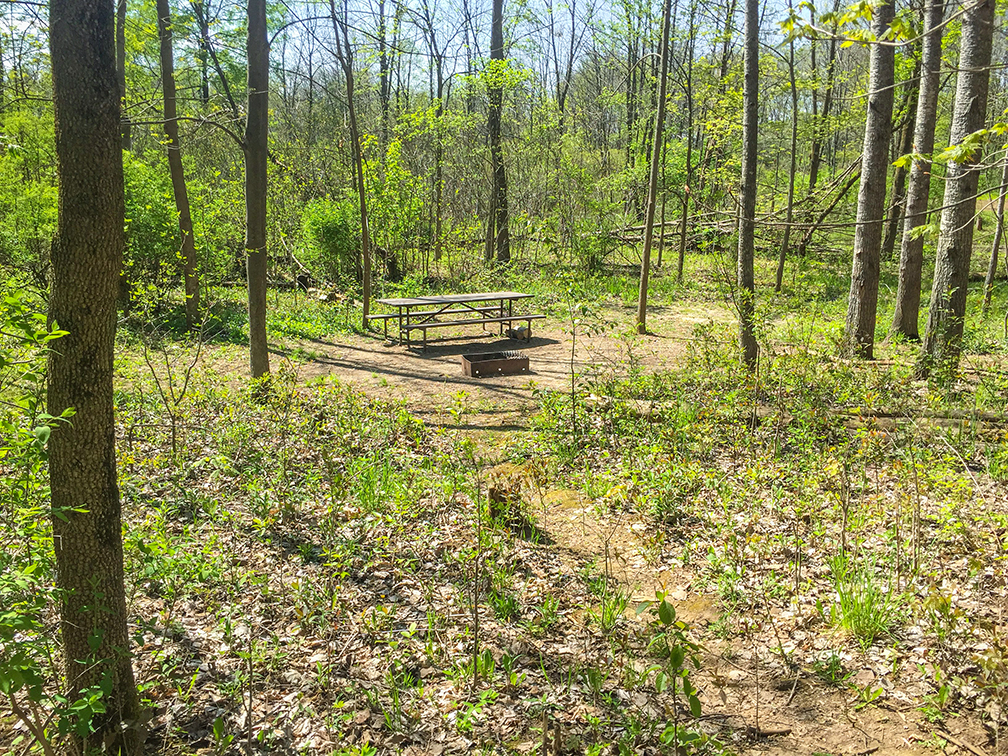 Backpackers Campsite on the Ice Age Trail Pike Lake Segment in Hartford WI