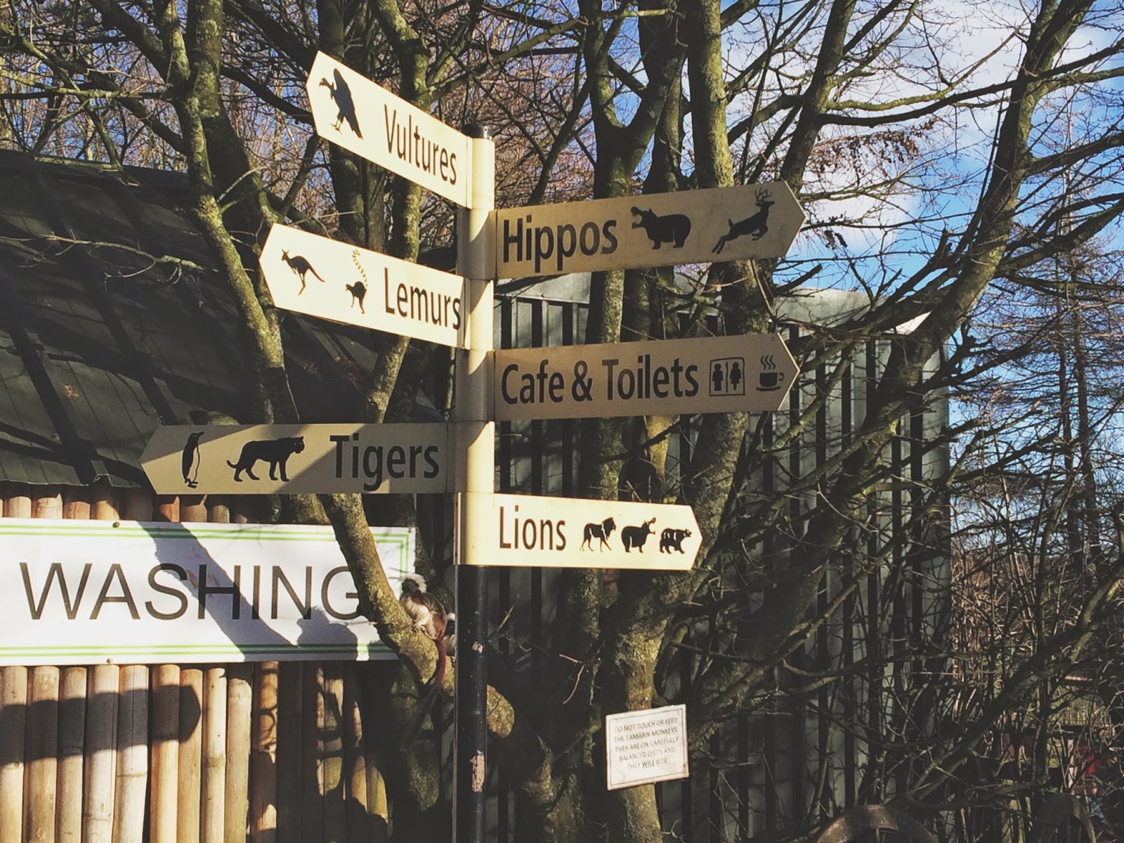 Scenes: South Lakes Safari Zoo - Alphabeth