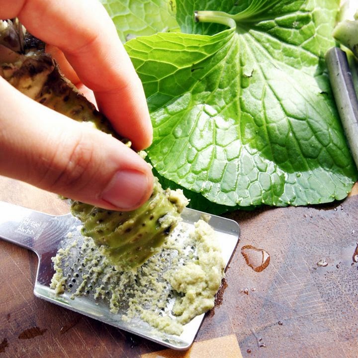 WHAT IS WASABI? The Garden of Eaden