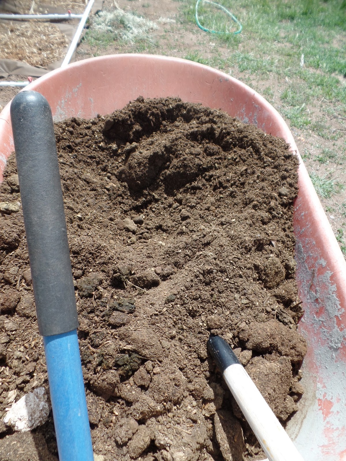 Growing Organic Signs of Spring & How to Warm Your Soil