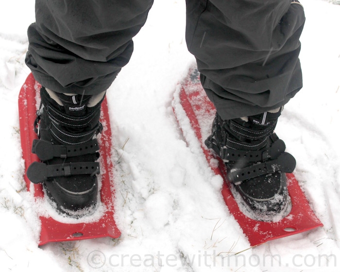 msr tyker snowshoes canada