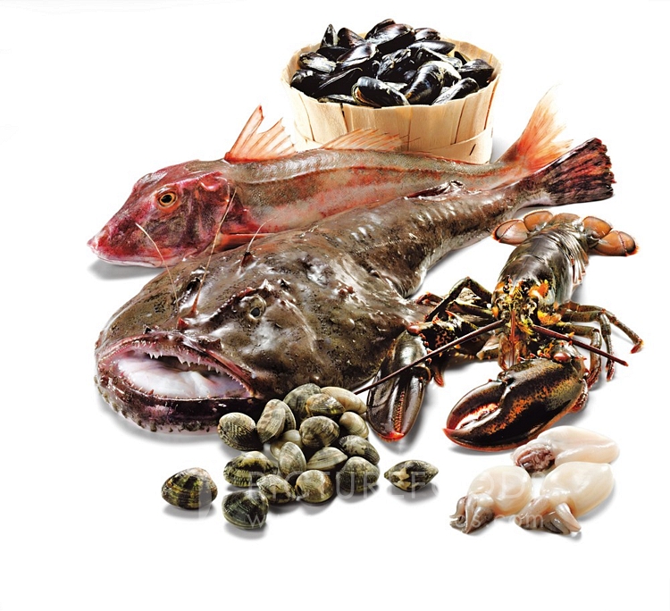 English at five VOCABULARY Fish and Seafood