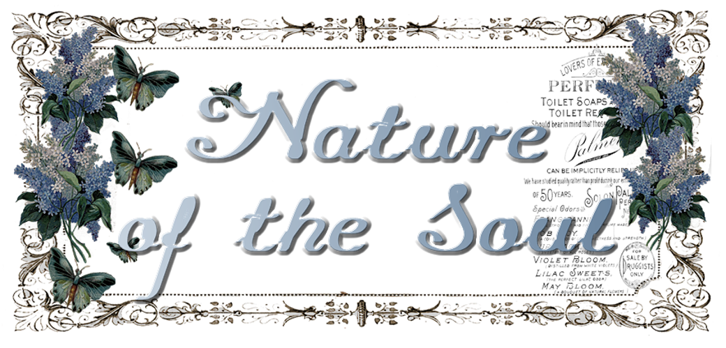 Nature Of The Soul