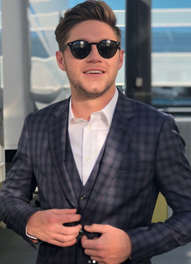 Biografi Niall Horan