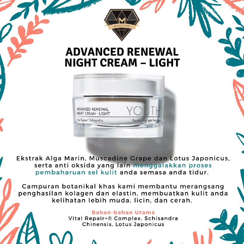 YOUTH Advanced Renewal Night Cream (Light)