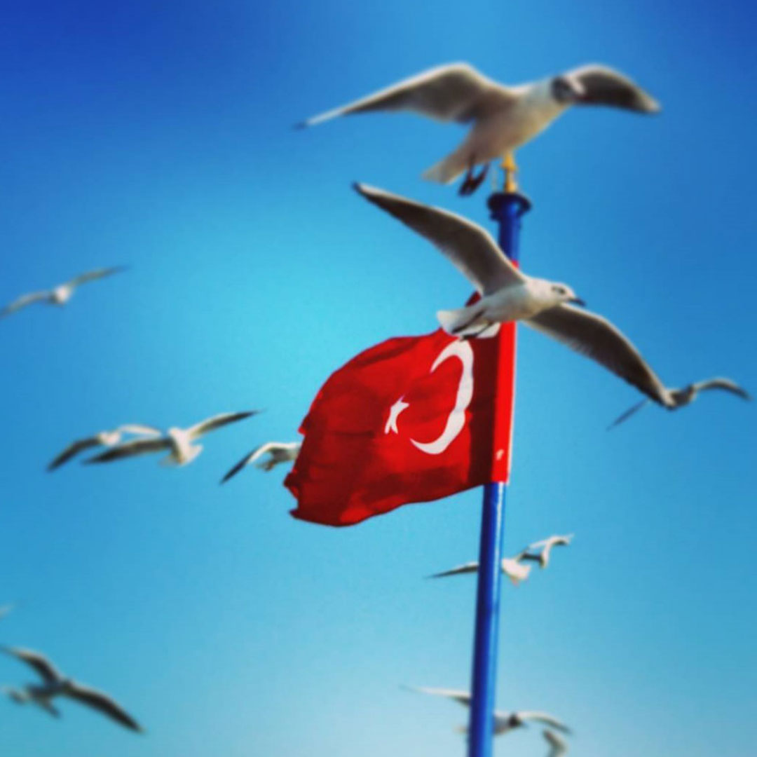 Turk bayragi instagram 20