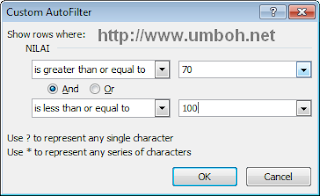 Custom Autofilter database excel