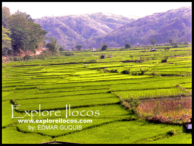 Aluling Rice fields, Cervantes, Ilocos Sur