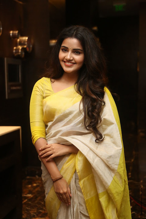Anupama Parameswaran at SVC Success Celebrations