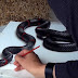 How this man created these 3D drawings is so amazing, you'll think they're real!